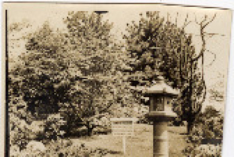 Photo front and back (ddr-densho-426-1821-mezzanine-951fe866dc)
