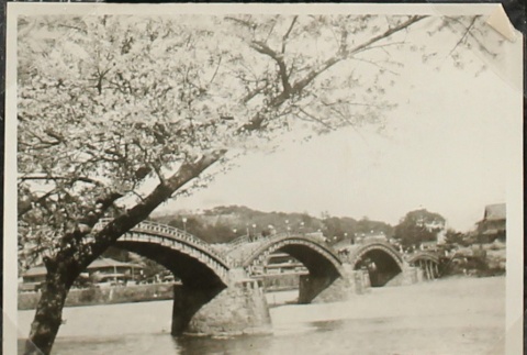 Kintai Bridge (ddr-densho-259-246)