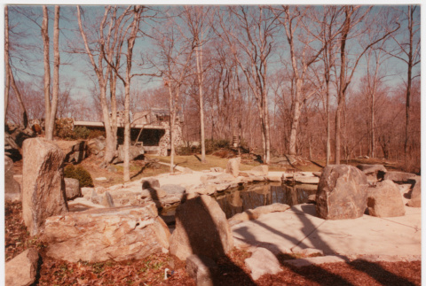 Pool looking at house (ddr-densho-377-2488)