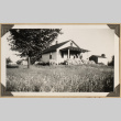 Working on a farm (ddr-densho-542-417)