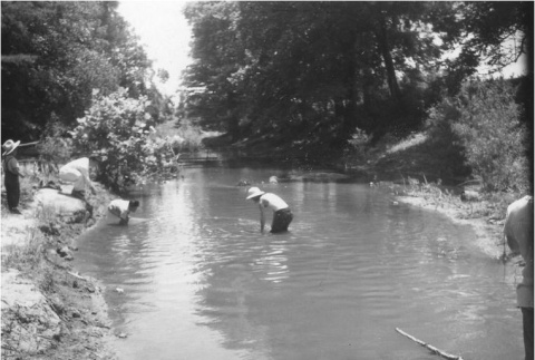 Japanese Americans in a canal (ddr-densho-167-28)