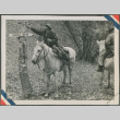 Men on horseback touching a tree with a 