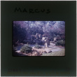 Pool and garden at the Marcus project (ddr-densho-377-454)