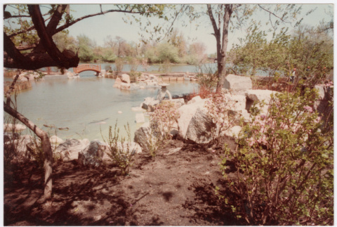 Pond (ddr-densho-377-2104)