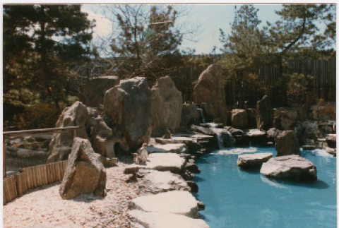 Photograph (ddr-densho-377-2164-mezzanine-f91e0a21d8)