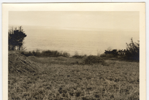 Field near a body of water (ddr-densho-542-828)
