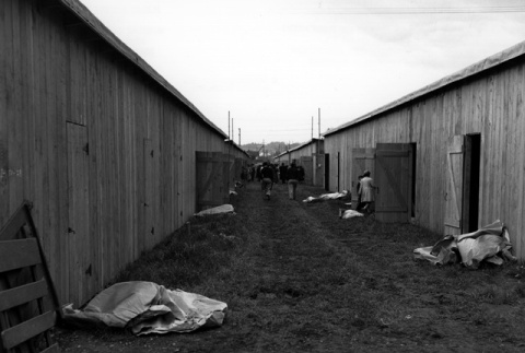 Japanese Americans walking between barracks (ddr-densho-36-40)
