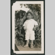 baby in a garden (ddr-densho-378-517)