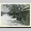 Okinawan town (ddr-densho-179-21)