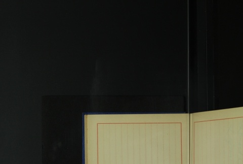 Page 439 (ddr-densho-255-6-master-066babfb37)