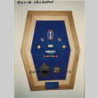 Frame with military insignia and pins (ddr-densho-466-319)