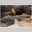 Pool under construction (ddr-densho-377-1816)
