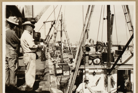 Boat at a fish market (ddr-densho-542-781)