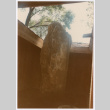Large rock indoors (ddr-densho-377-1797)