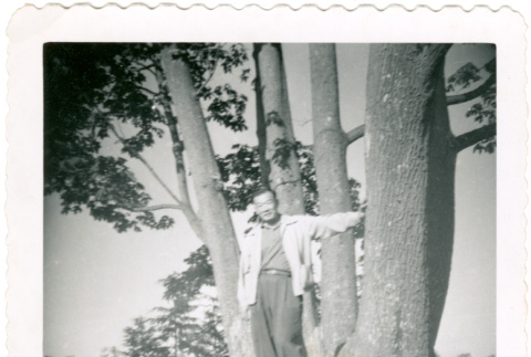 Man next to tree (ddr-densho-430-206)