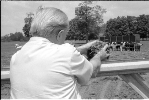 Robert H. Foote on farm (ddr-densho-1007-1248)