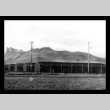 Barracks with mountains in background in Tule Lake (ddr-csujad-55-2233)