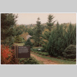 Trail (ddr-densho-377-2063)