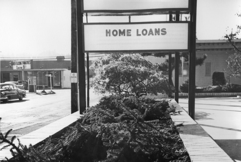 Close up of plants and trees in a planter at Washington Federal Savings Bothell branch (ddr-densho-354-400)