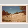 Rock waterfall and pond under construction (ddr-densho-377-2201)