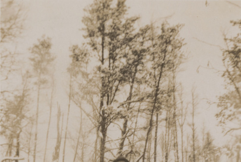 Soldier in snow (ddr-janm-17-64)