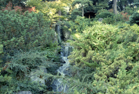Mountainside waterfall (ddr-densho-354-2000)