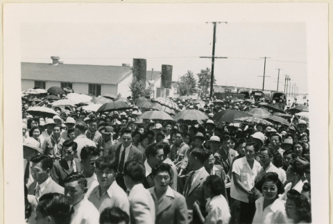 Crowd at Canal (ddr-densho-37-1437)