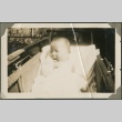 A baby in a buggy (ddr-densho-321-743)