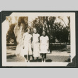 three women next to a large tree (ddr-densho-378-604)