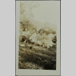 Women at a picnic (ddr-densho-328-557)