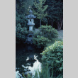 Stone Lantern in the Japanese Garden (ddr-densho-354-1030)