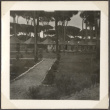 Line of tents with trees (ddr-densho-466-22)