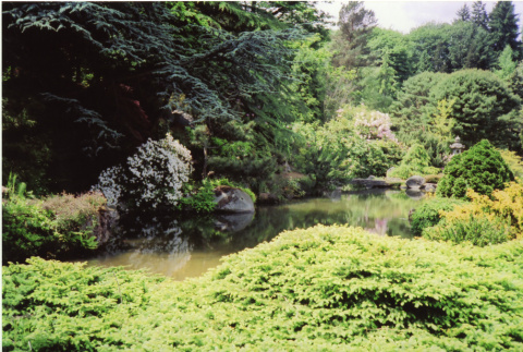Japanese Garden (ddr-densho-354-1612)