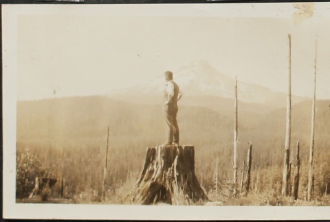 Man on tree stump surveying timberland (ddr-densho-259-245)