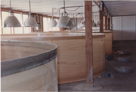 Oyster farming equipment (ddr-densho-296-49)