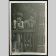 Children look over fence (ddr-densho-359-790)