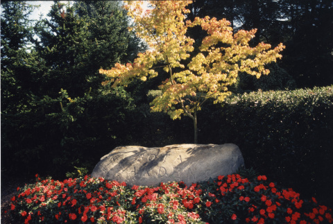 Kubota Garden Stone (ddr-densho-354-776)
