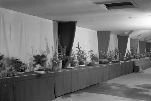 Ikebana exhibit in camp (ddr-fom-1-118)