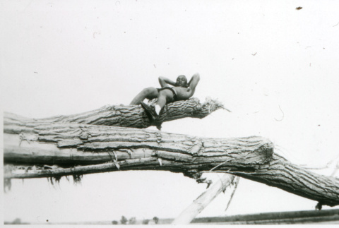 Man relaxing on log (ddr-densho-1007-861)