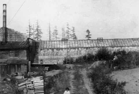 Child in front of greenhouse (ddr-densho-134-15)