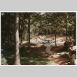 Path to pool (ddr-densho-377-2486)