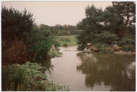 Lake (ddr-densho-377-2058)