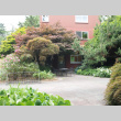 Xavier Hall courtyard, Seattle University (ddr-densho-354-2739)