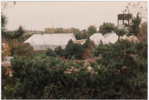 Greenhouse (ddr-densho-377-2062)