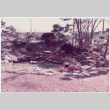 Garden with pond (ddr-densho-534-70)