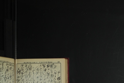 Page 219 (ddr-densho-255-3-master-df43512c4b)