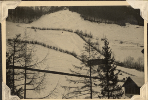 View of hillside in snow (ddr-densho-466-815)