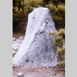 Stone in the Garden (ddr-densho-354-309)