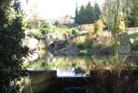 Spring Pond (ddr-densho-354-1861)