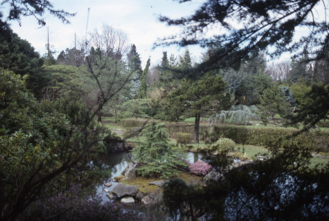 Japanese Garden (ddr-densho-354-1108)